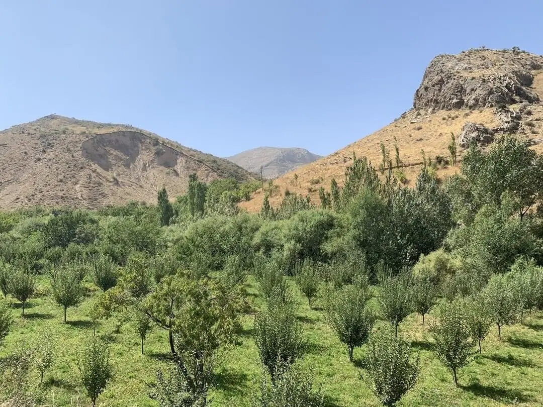 Mountain Adventure Tours