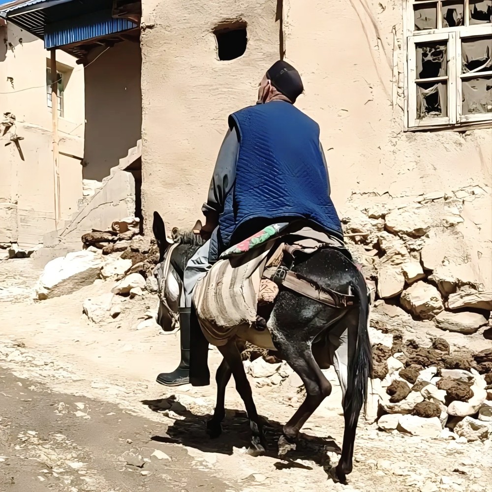 The highest mountain in Uzbekistan!