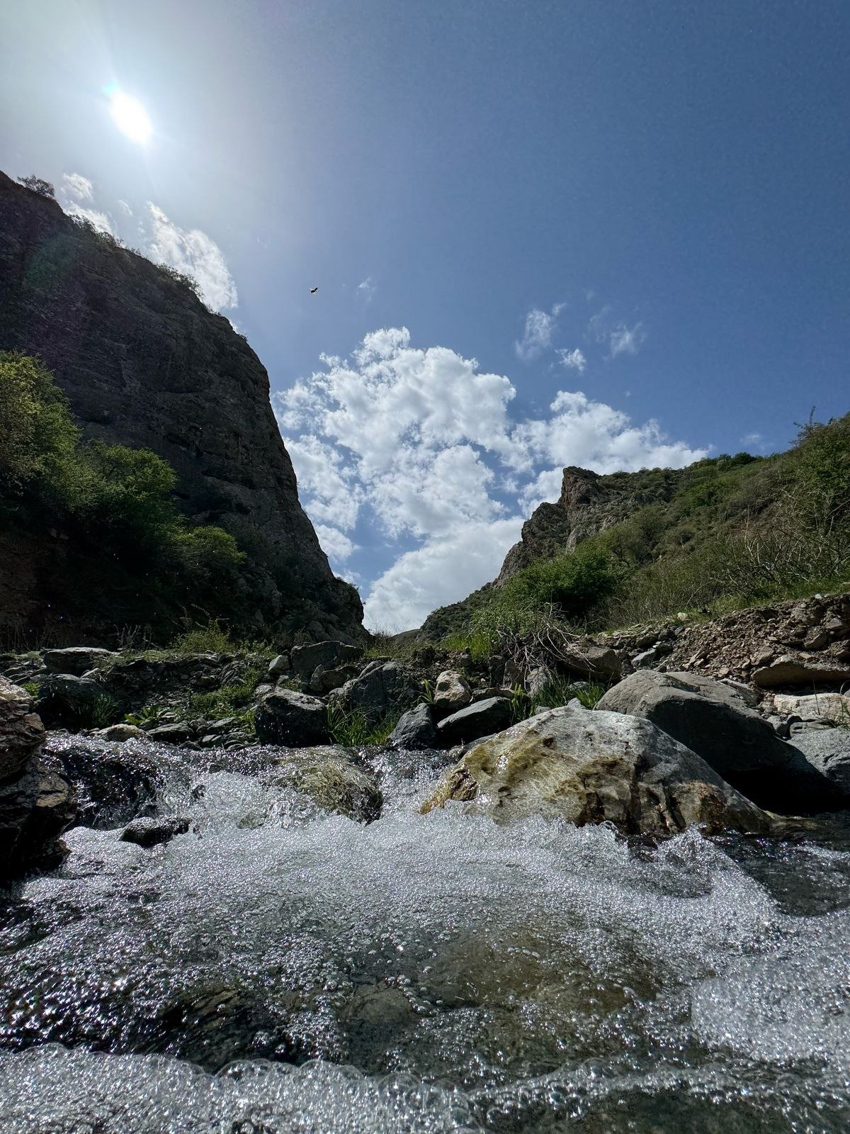 Blooming Mountains of Samarkand