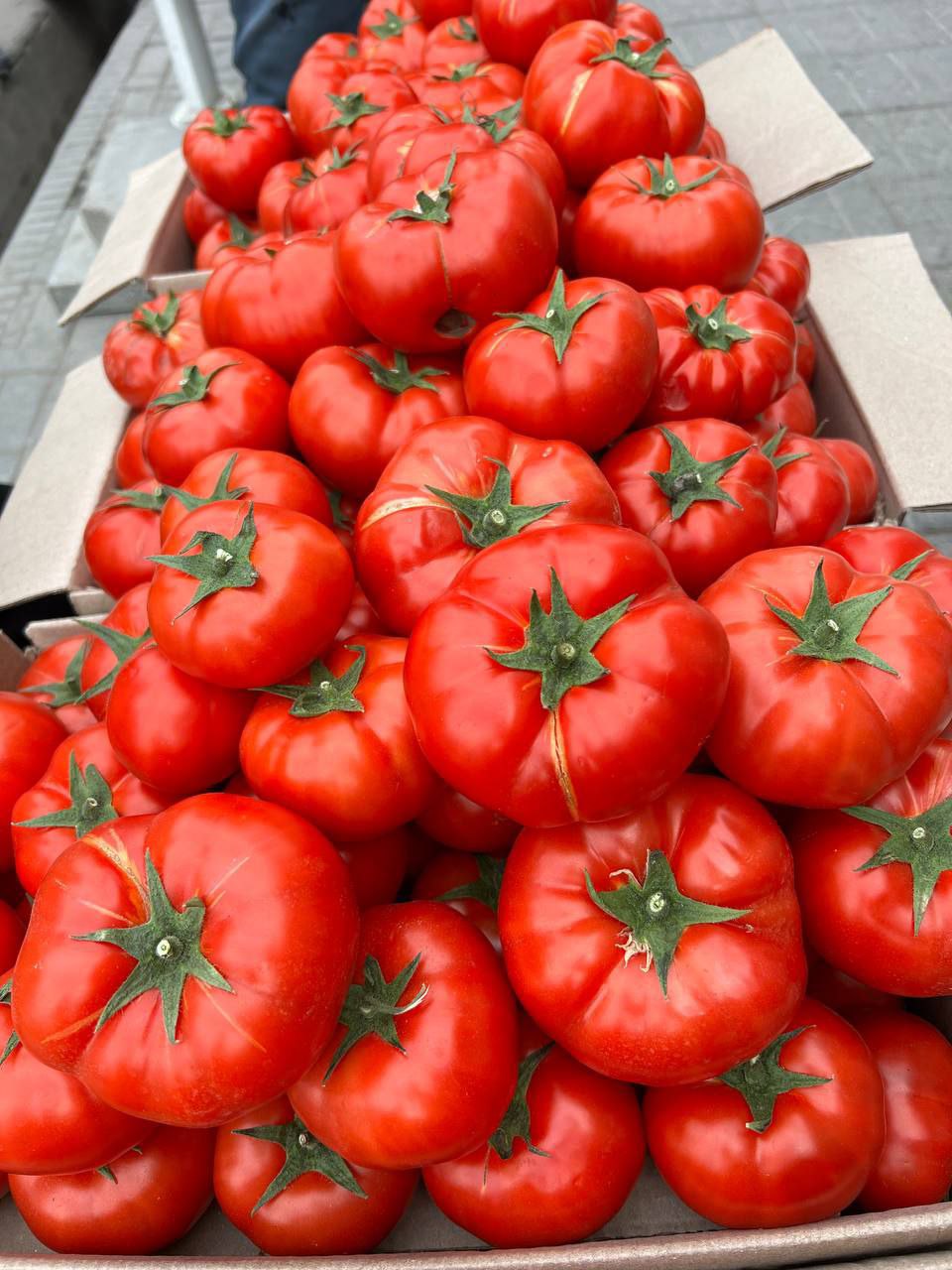 Tandoor Experience: Authentic Uzbek Samsa Culinary Tour near Samarkand