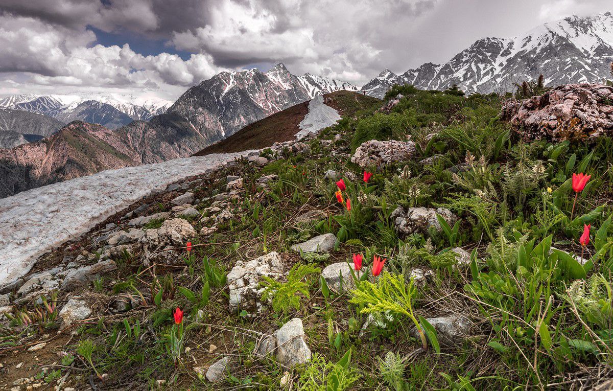 Excursion to a mountain village with an overnight stay in a glamping site