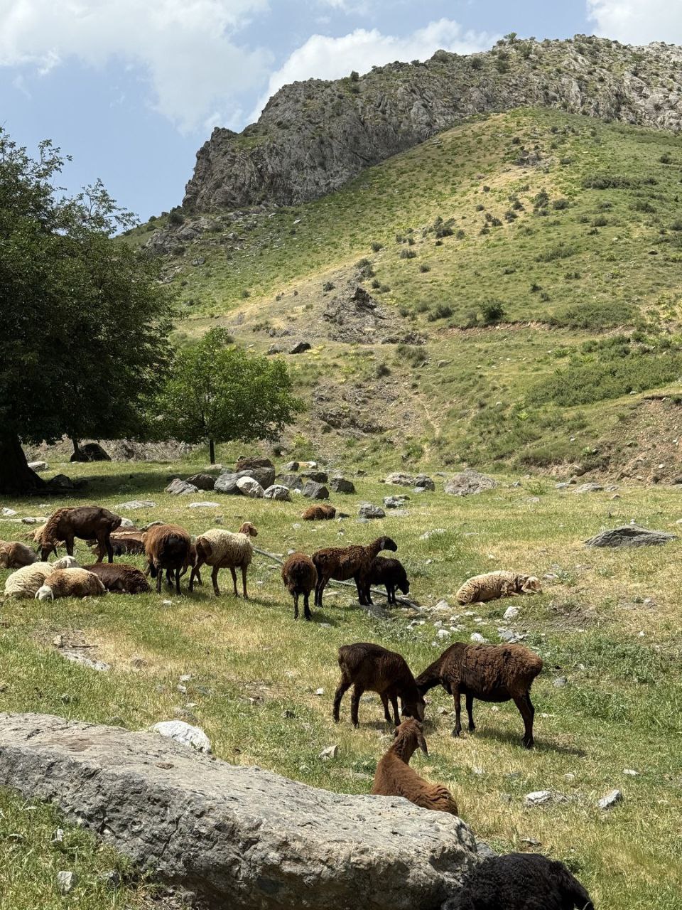 Excursion to a mountain village with an overnight stay in a glamping site